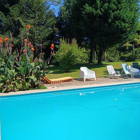 Casa Sardao Villa Trofa Bagian luar foto