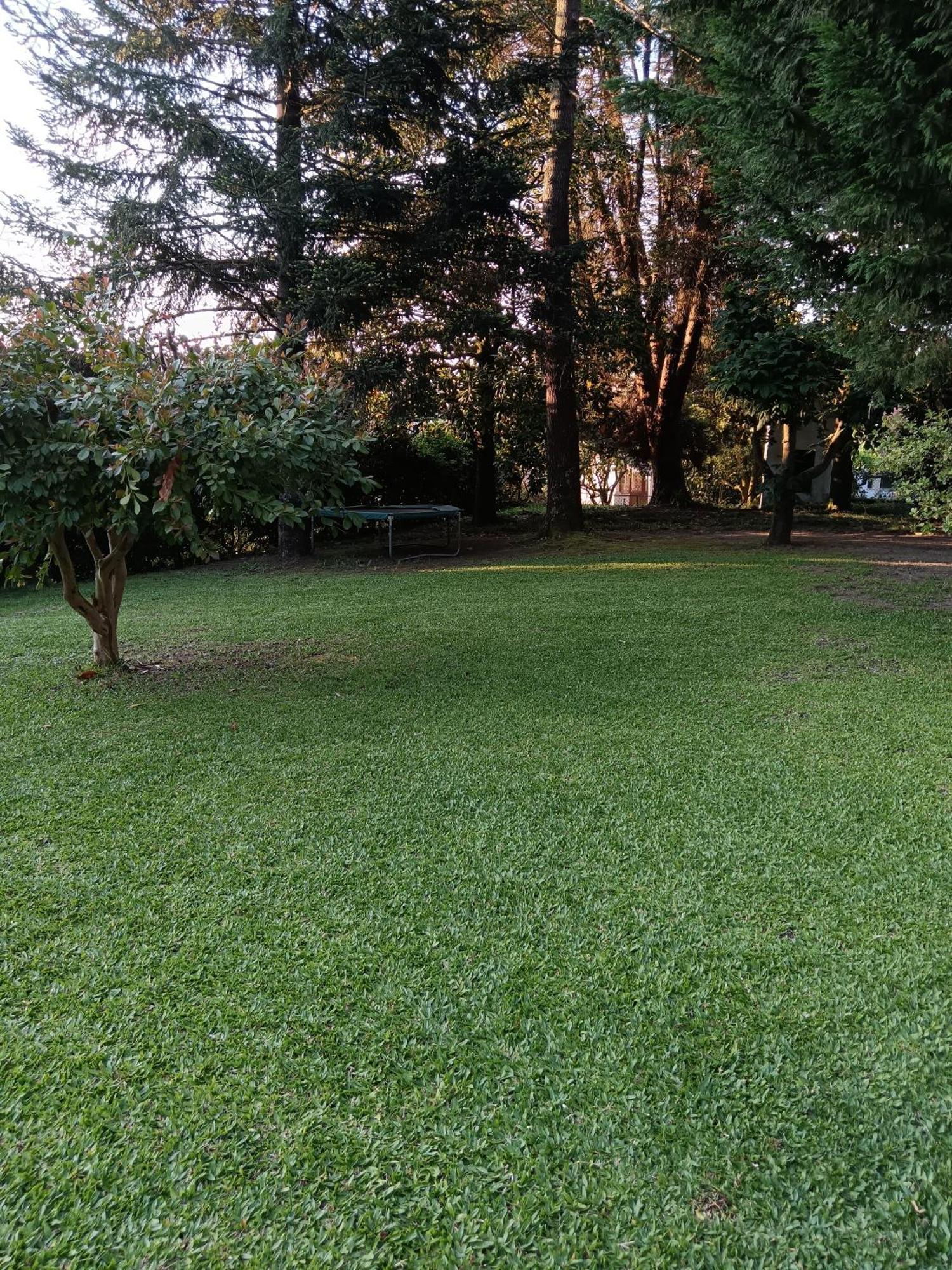 Casa Sardao Villa Trofa Bagian luar foto