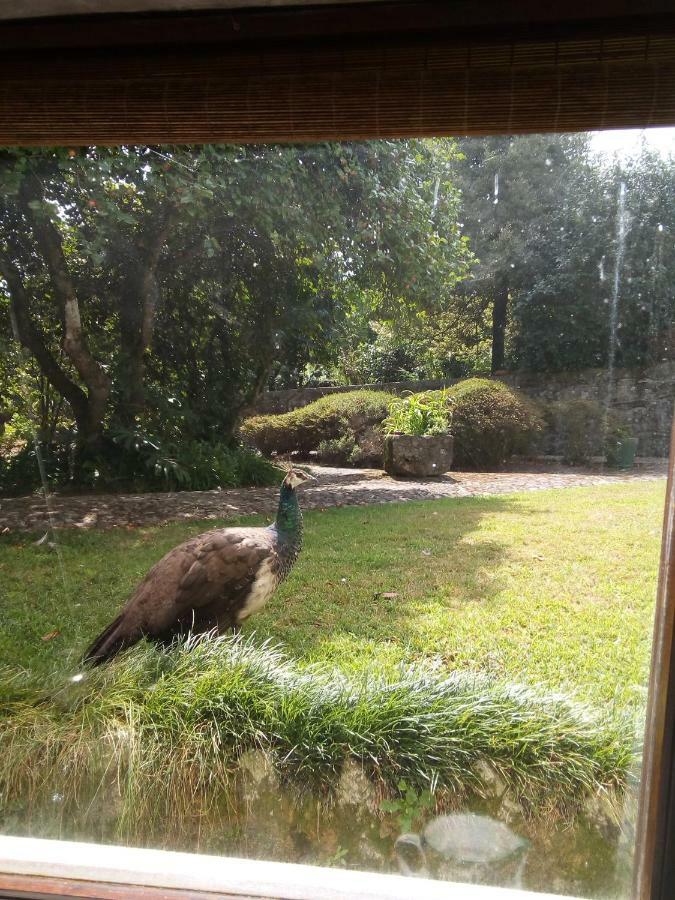 Casa Sardao Villa Trofa Bagian luar foto